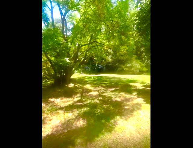 608M² VACANT LAND FOR SALE IN MORNINGSIDE